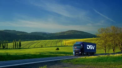 Exporturile românești către Europa susținute de industriile auto și electronică