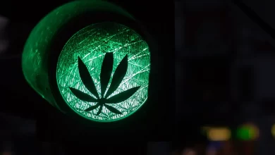 Germania: Experții propun limita maximă de 3,5 ng/ml THC la volan