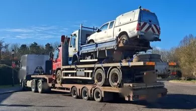 Muzicanții din Bremen pe o șosea din Anglia