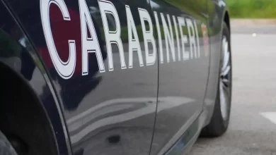 Italia: Arestări în cazul mai multor furturi din depozite logistice