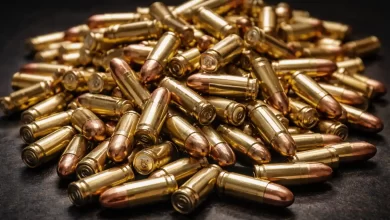 Germania: Zeci de mii de cartușe militare furate dintr-un vehicul civil neescortat