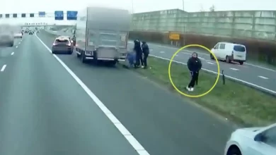 Jaf armat pe autostrada A1 din Olanda, lângă Muiden