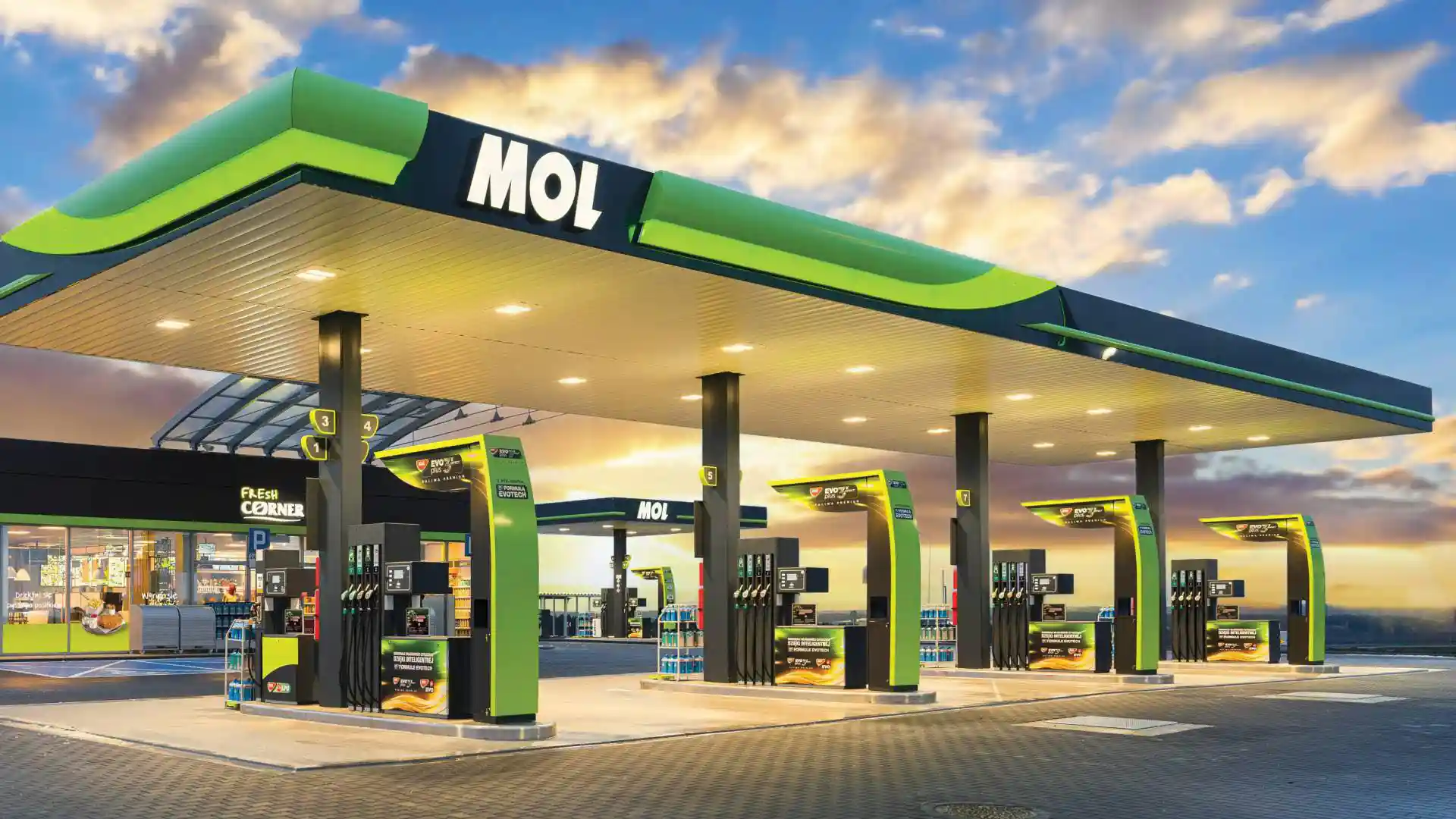 Unele benzinării din Slovenia au limitat volumul maxim de motorină alimentat