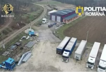 Patron de transport arestat de DIICOT pentru furtul mărfurilor transportate